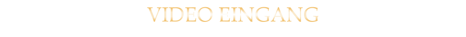 VIDEO EINGANG