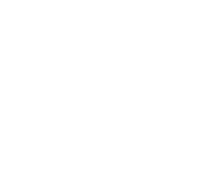 LIEBE GÄSTE WIR WÜNSCHEN IHNEN EINEN SCHÖNEN ABEND UND EIN SCHÖNES NEUES JAHR