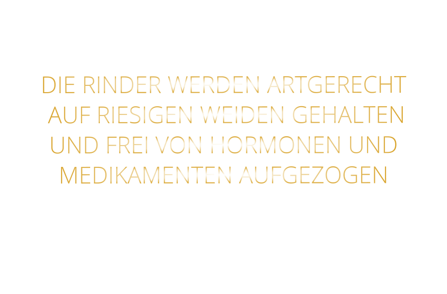 DIE KLASSIFIZIERUNG PRIME ERREICHEN NUR 2-3% ALLER RINDER  DIE RINDER WERDEN ARTGERECHT  AUF RIESIGEN WEIDEN GEHALTEN UND FREI VON HORMONEN UND MEDIKAMENTEN AUFGEZOGEN