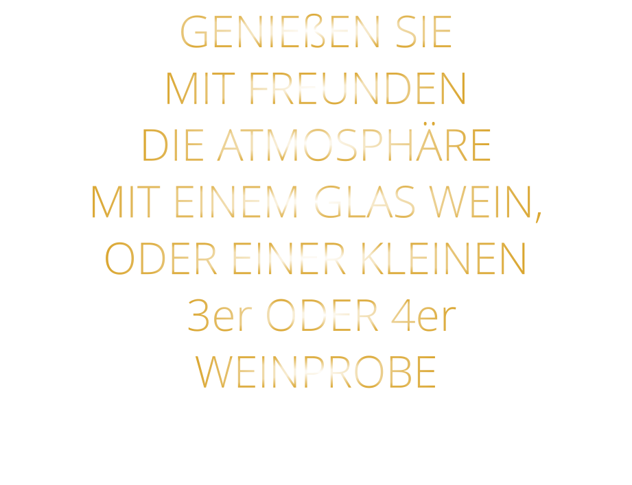 GENIEßEN SIE MIT FREUNDEN DIE ATMOSPHÄRE MIT EINEM GLAS WEIN, ODER EINER KLEINEN  3er ODER 4er WEINPROBE