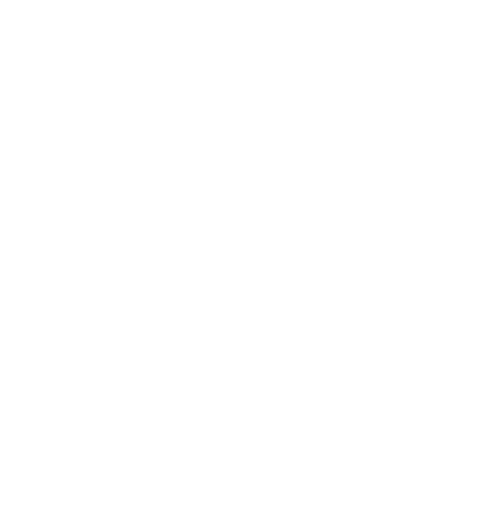 FEINEN STEAKS VOM STEIN UND VOM GRILL, FRÄNKISCHEN ROSTBRATWÜRSTEN  MIT KRAUT ODER SALAT, UNSEREN LEGENDÄREN SPARERIBS UND LECKEREN KLEINIGKEITEN ZUM WEIN