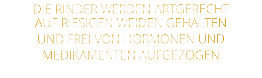 DIE RINDER WERDEN ARTGERECHT AUF RIESIGEN WEIDEN GEHALTEN UND FREI VON HORMONEN UND MEDIKAMENTEN AUFGEZOGEN