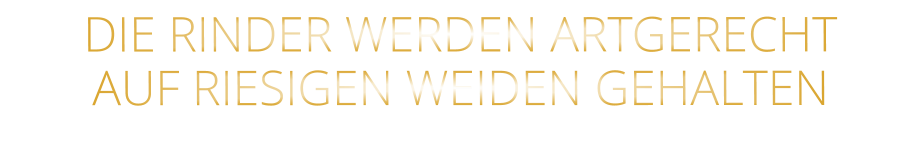 DIE RINDER WERDEN ARTGERECHT AUF RIESIGEN WEIDEN GEHALTEN