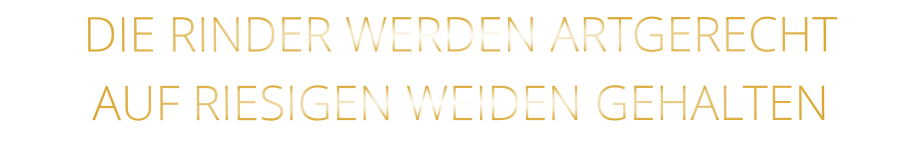 DIE RINDER WERDEN ARTGERECHT AUF RIESIGEN WEIDEN GEHALTEN