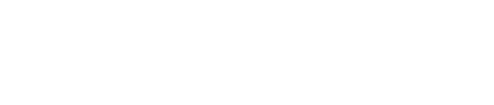 VERGESSEN SIE, WAS SIE        BIS JETZT AN RIBS GEGESSEN HABEN
