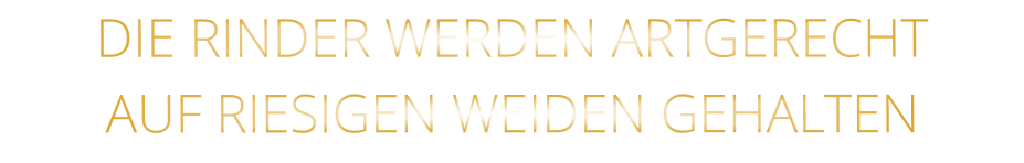 DIE RINDER WERDEN ARTGERECHT AUF RIESIGEN WEIDEN GEHALTEN